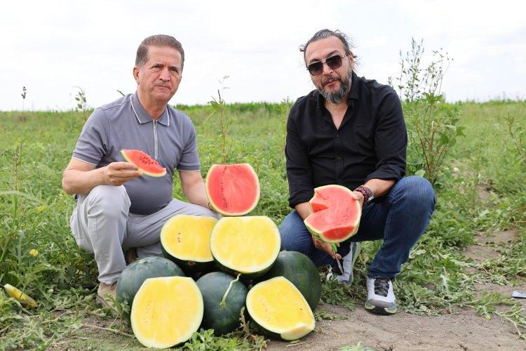 <p>Y&uuml;reğir Ziraat Odası Başkanı Mehmet Akın Doğan ise sarı karpuzun tadı ve aromasının Adana karpuzuyla aynı olduğunun altını &ccedil;izerek, şunları akatardı:&nbsp;</p>
