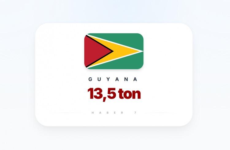 <p><span style="color:#B22222"><strong>49)&nbsp; GUAYANA</strong></span></p>
