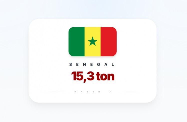 <p><span style="color:#B22222"><strong>38)&nbsp; SENEGAL</strong></span></p>
