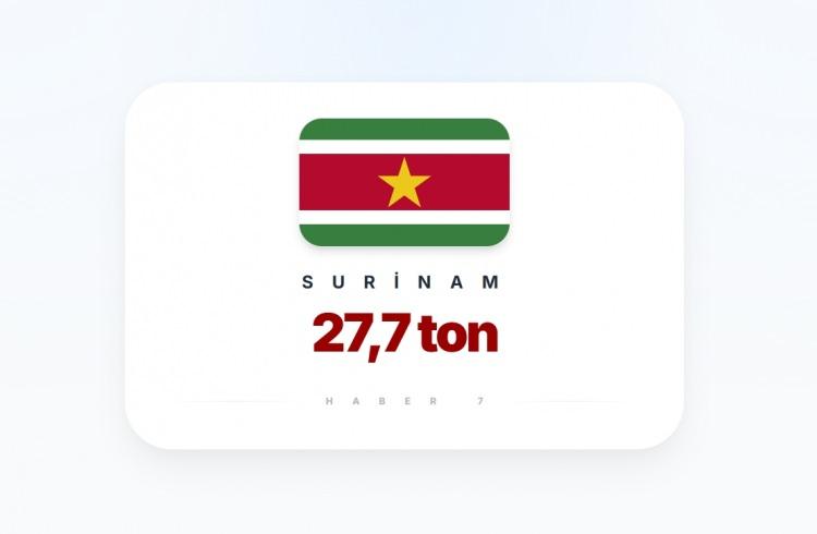 <p><span style="color:#B22222"><strong>30)&nbsp; SURİNAM</strong></span></p>
