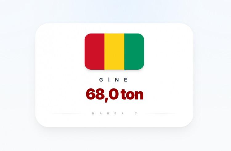 <p><span style="color:#B22222"><strong>17)&nbsp; GİNE</strong></span></p>

