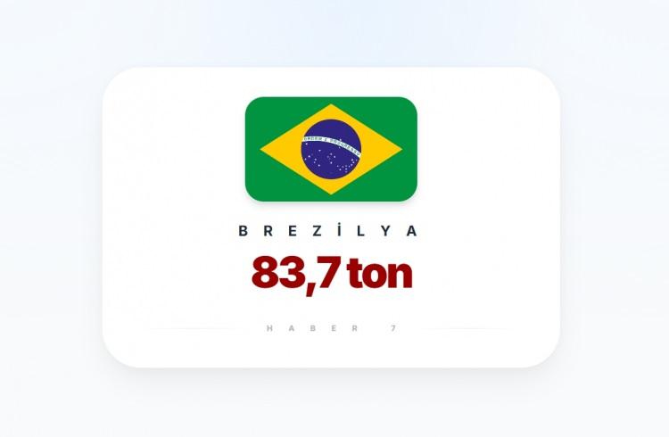 <p><span style="color:#B22222"><strong>15)&nbsp; BREZİLYA</strong></span></p>
