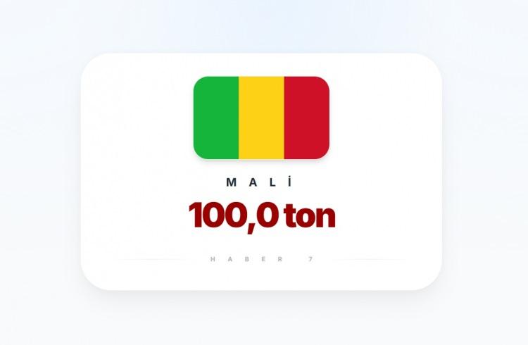 <p><span style="color:#B22222"><strong>11)&nbsp; MALİ</strong></span></p>
