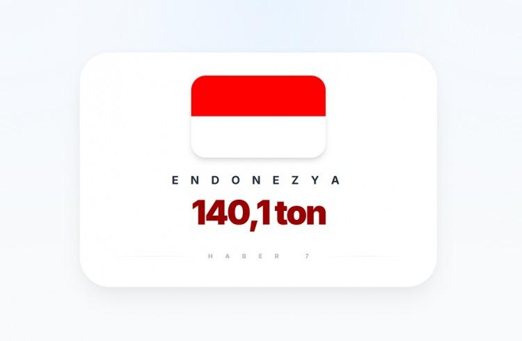 <p><span style="color:#B22222"><strong>8)&nbsp; ENDONEZYA</strong></span></p>

