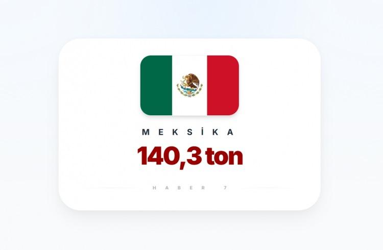 <p><span style="color:#B22222"><strong>7)&nbsp; MEKSİKA</strong></span></p>
