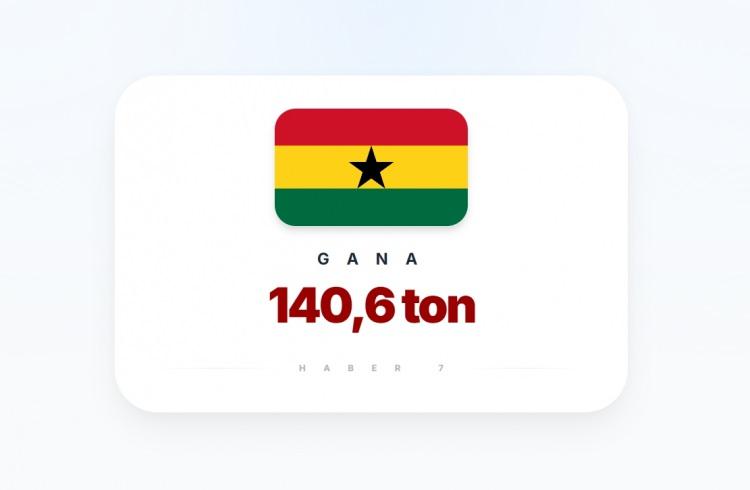 <p><span style="color:#B22222"><strong>6)&nbsp; GANA</strong></span></p>
