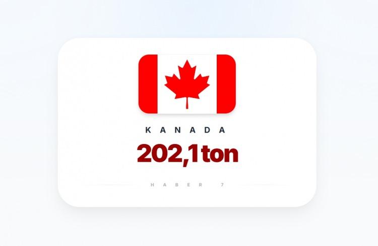 <p><span style="color:#B22222"><strong>4)&nbsp; KANADA</strong></span></p>
