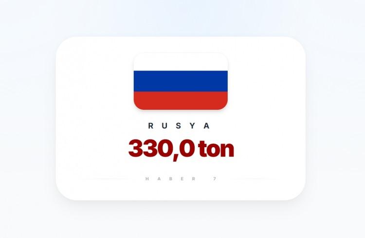 <p><span style="color:#B22222"><strong>2)&nbsp; RUSYA</strong></span></p>
