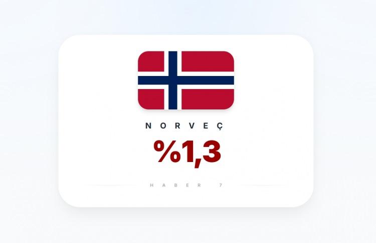 <p><span style="color:#B22222"><strong>NORVE&Ccedil;</strong></span></p>
