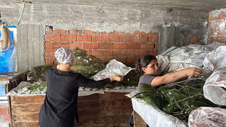 <p>K&ouml;yceğiz'in Pınar Mahallesi'nde yaşayan, &uuml;niversite mezunu, evli ve ikişer &ccedil;ocuk annesi olan Yıldız Sıkkın ile Ayşe Akat da &uuml;reticiler arasında yer alıyor.&nbsp;</p>
