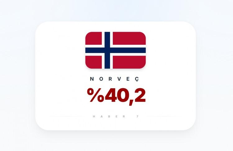 <p><span style="color:#B22222"><strong>9)&nbsp; NORVE&Ccedil;</strong></span></p>
