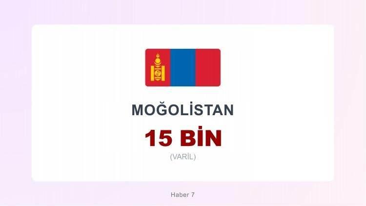 <p><span style="color:#B22222"><strong>MOĞOLİSTAN</strong></span></p>
