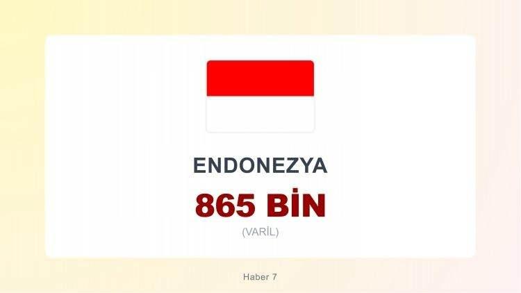 <p><span style="color:#B22222"><strong>21)&nbsp; ENDONEZYA</strong></span></p>
