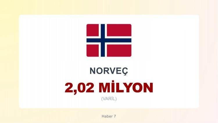 <p><span style="color:#B22222"><strong>13)&nbsp; NORVE&Ccedil;</strong></span></p>

