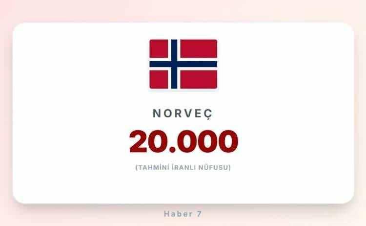 <p><span style="color:#B22222"><strong>19)&nbsp; NORVE&Ccedil;</strong></span></p>
