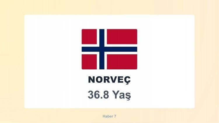 <p><span style="color:#B22222"><strong>5)&nbsp; NORVE&Ccedil;</strong></span></p>

