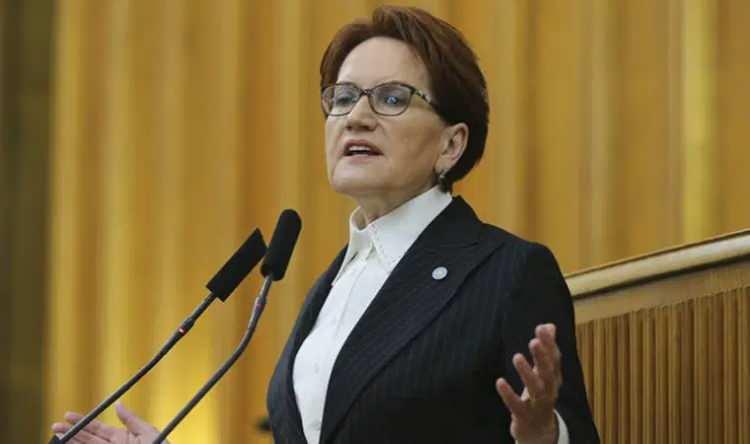 <p><span style="color:#B22222"><strong>MERAL AKŞENER</strong></span></p>

<p><strong>TARİH&Ccedil;İ, AKADEMİSYEN</strong></p>
