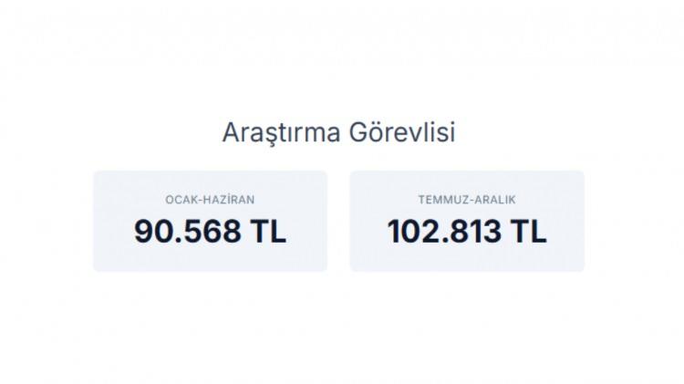 <p><strong>ARAŞTIRMA G&Ouml;REVLİSİ&nbsp;</strong></p>
