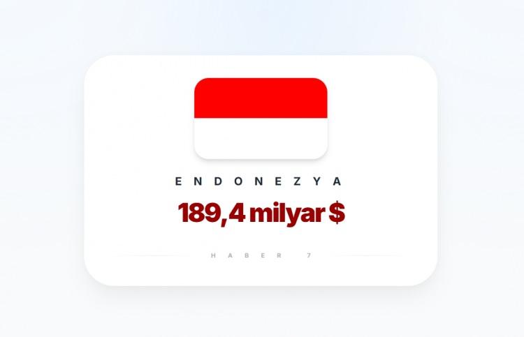 <p><span style="color:#B22222"><strong>4)&nbsp; ENDONEZYA</strong></span></p>
