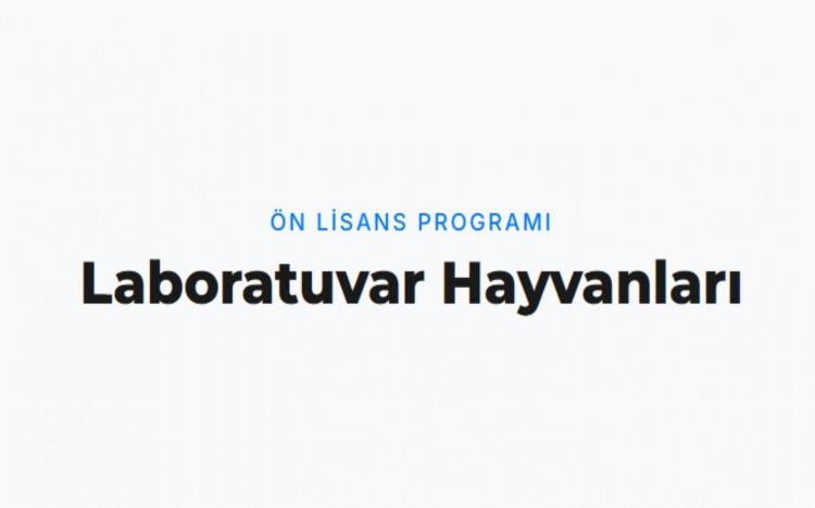 <p><strong>LABORATUVAR HAYVANLARI</strong></p>

<p>&nbsp;</p>
