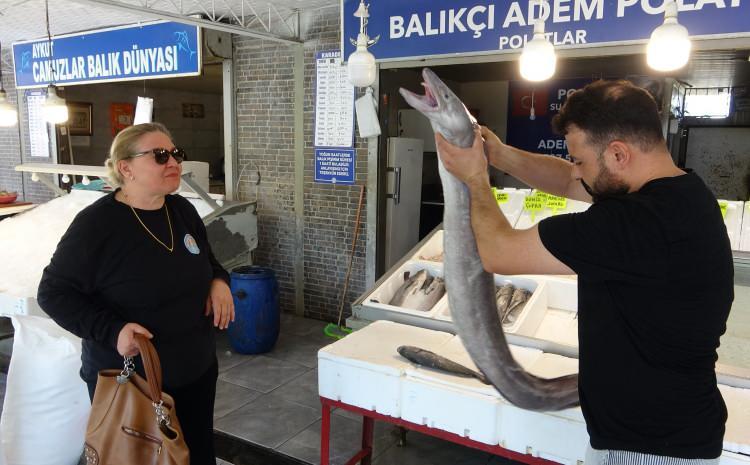 <p>Mersin'de balık&ccedil;ı tezgahında sergilenen yaklaşık 2 metre uzunluğunda ve 20 kilogram ağırlığındaki dev yılan balığı ilgi odağı oldu.</p>
