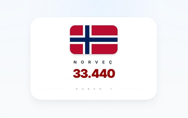 <p><span style="color:#B22222"><strong>14)&nbsp; NORVE&Ccedil;</strong></span></p>

