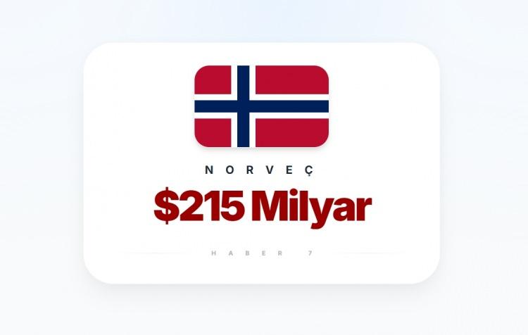 <p><span style="color:#B22222"><strong>14)&nbsp; NORVE&Ccedil;</strong></span></p>
