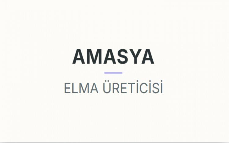 <p><strong>AMASYA</strong></p>
