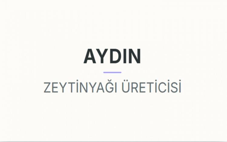 <p><strong>AYDIN&nbsp;</strong></p>
