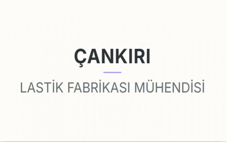 <p><strong>&Ccedil;ANKIRI</strong></p>
