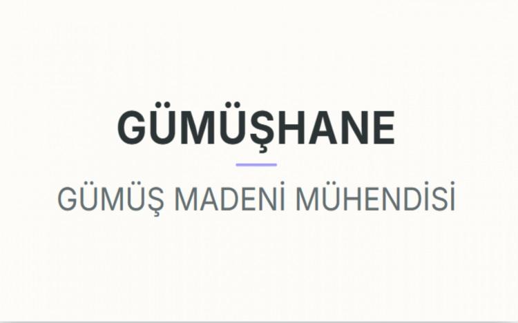 <p><strong>G&Uuml;M&Uuml;ŞHANE&nbsp;</strong></p>
