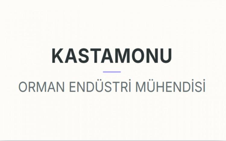 <p><strong>KASTAMONU&nbsp;</strong></p>
