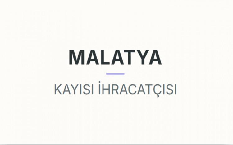 <p><strong>MALATYA</strong></p>
