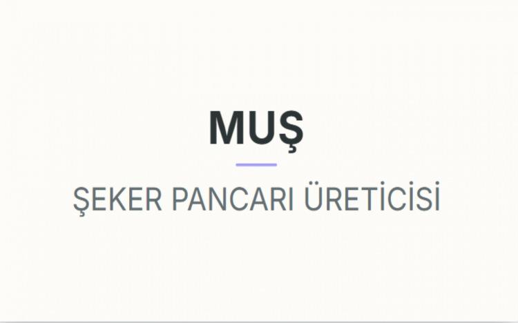 <p><strong>MUŞ&nbsp;</strong></p>
