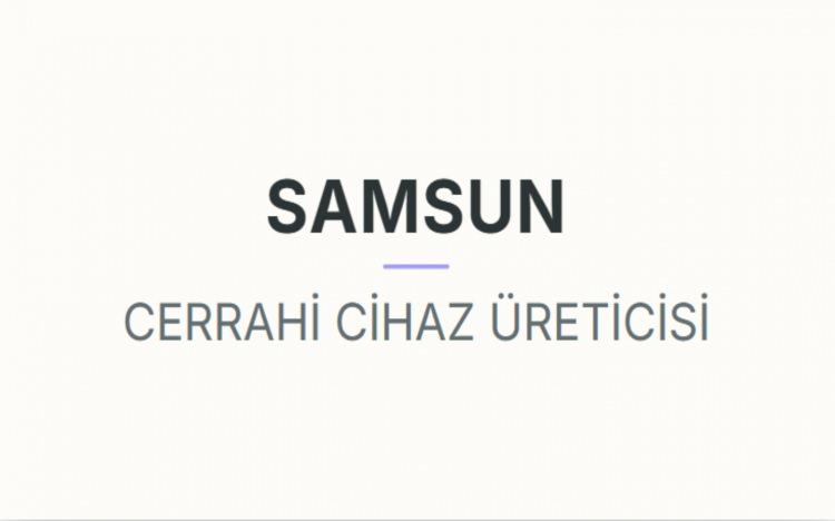 <p><strong>SAMSUN&nbsp;</strong></p>
