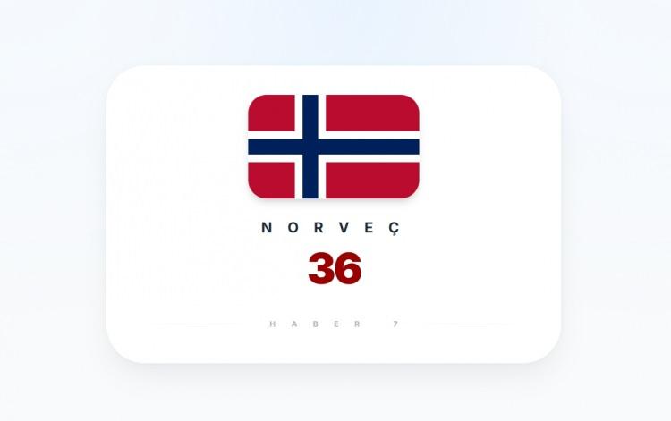 <p><span style="color:#B22222"><strong>NORVE&Ccedil;</strong></span></p>
