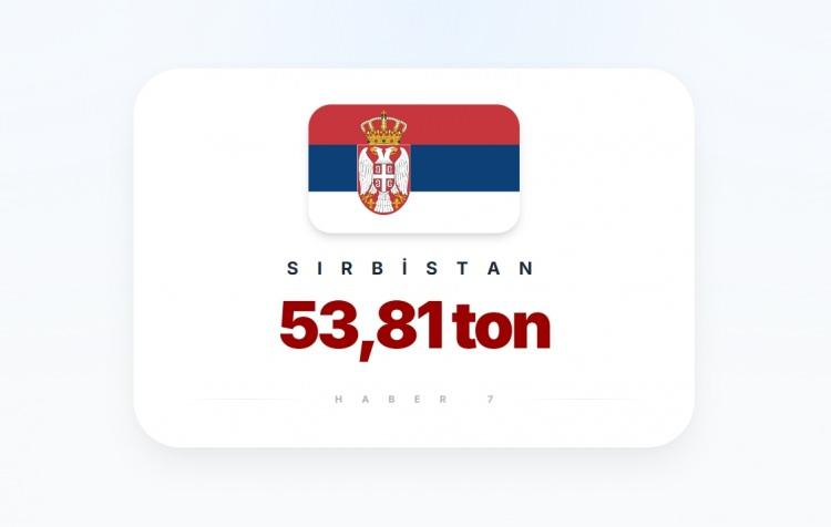 <p><span style="color:#B22222"><strong>SIRBİSTAN</strong></span></p>
