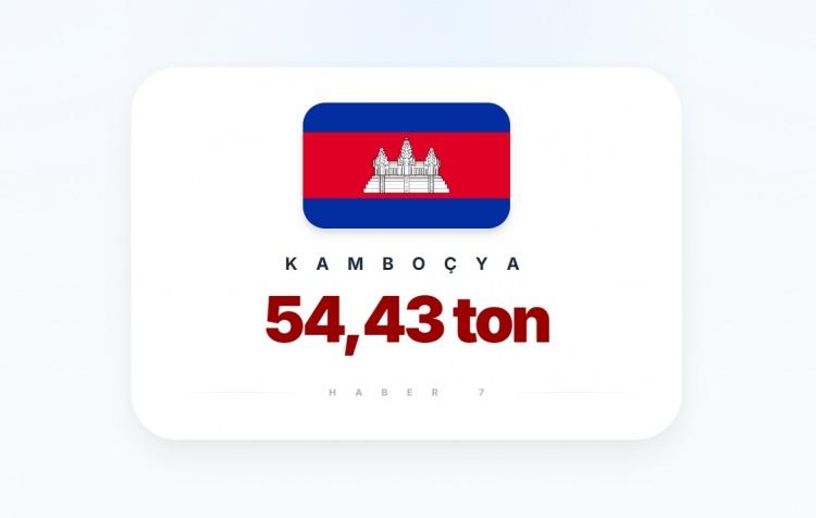 <p><span style="color:#B22222"><strong>KAMBO&Ccedil;YA</strong></span></p>
