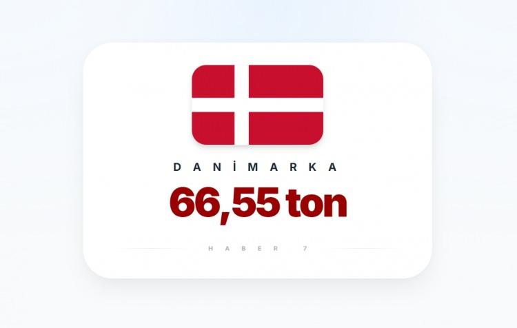 <p><span style="color:#B22222"><strong>DANİMARKA</strong></span></p>
