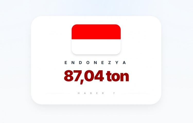 <p><span style="color:#B22222"><strong>ENDONEZYA</strong></span></p>
