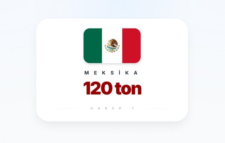 <p><span style="color:#B22222"><strong>MEKSİKA</strong></span></p>
