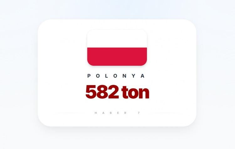 <p><span style="color:#B22222"><strong>POLONYA</strong></span></p>

