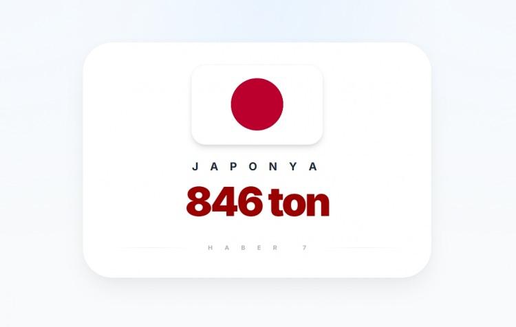 <p><span style="color:#B22222"><strong>JAPONYA</strong></span></p>

