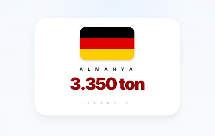 <p><span style="color:#B22222"><strong>ALMANYA</strong></span></p>
