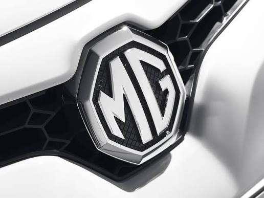 <p><span style="color:#B22222"><strong>MG MODELLER</strong></span></p>
