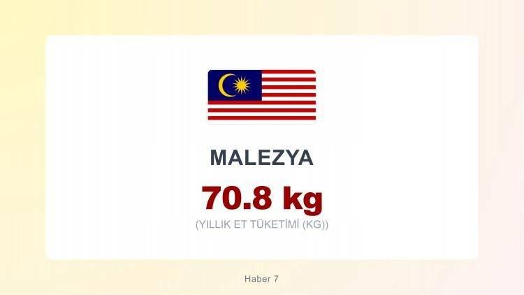 <p><span style="color:#B22222"><strong>MALEZYA</strong></span></p>

