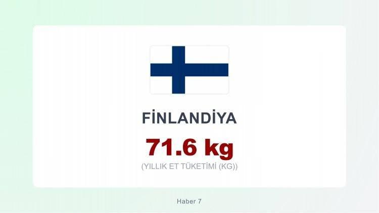 <p><span style="color:#B22222"><strong>FİNLANDİYA</strong></span></p>
