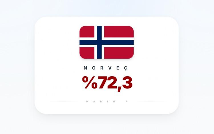 <p><span style="color:#B22222"><strong>15)&nbsp; NORVE&Ccedil;</strong></span></p>
