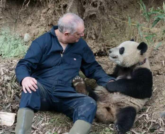 <p>PANDA BAKICISI</p>

<p>&Ccedil;in'deki panda koruma merkezlerinde pandaların beslenmesi, temizliği ve sağlık kontrolleriyle ilgileniyor.</p>
