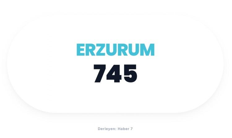 <p><span style="color:#B22222"><strong>ERZURUM</strong></span></p>
